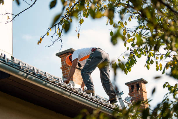 Best New Roof Installation  in Marion, MS