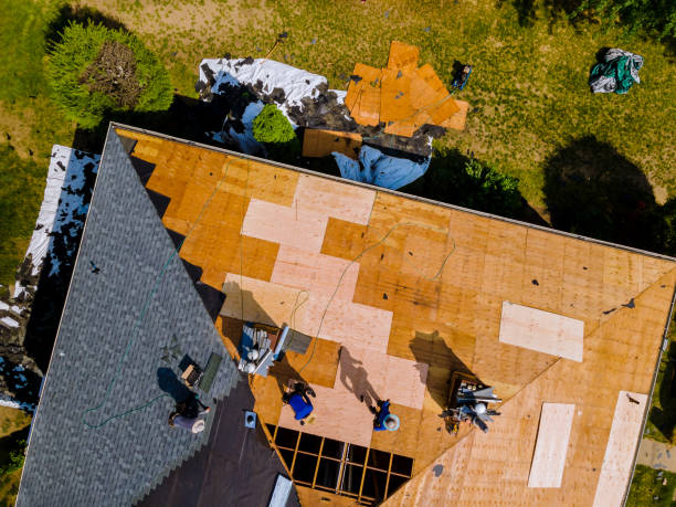 Best Local Roofing Companies  in Marion, MS
