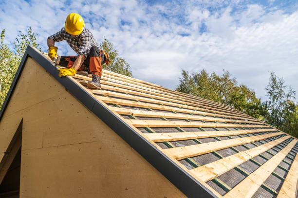 Best Gutter Installation and Roofing  in Marion, MS